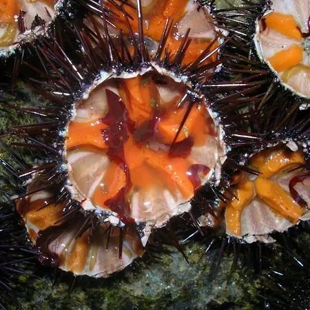 Апартаменты Leuca Casa Del Mare In Centro Леука